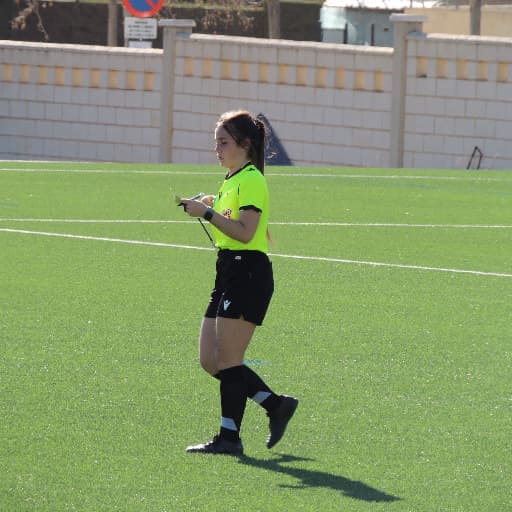 Carmen I.